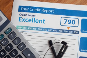 An Inaccurate Credit Report